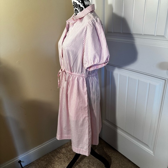 J. Crew Pink and White Striped Dress NWT - Picture 4 of 6